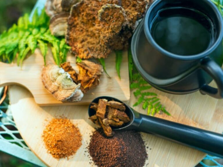 What Is Chaga Mushroom Powder Good For?